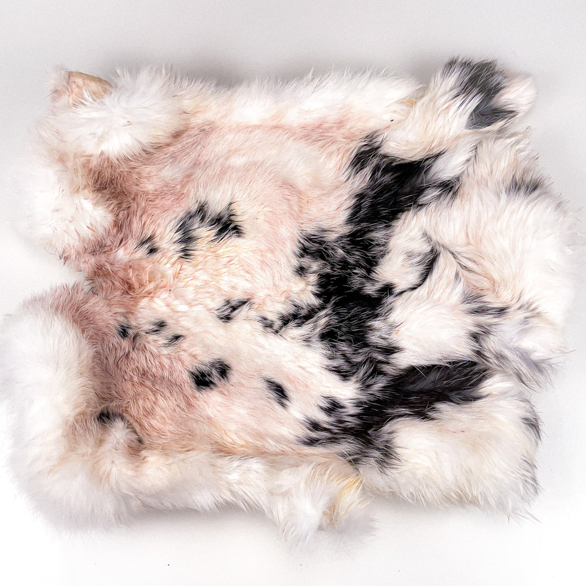 Rabbit Hide – Whole Dehydrated Hide Chew for Big Chewers