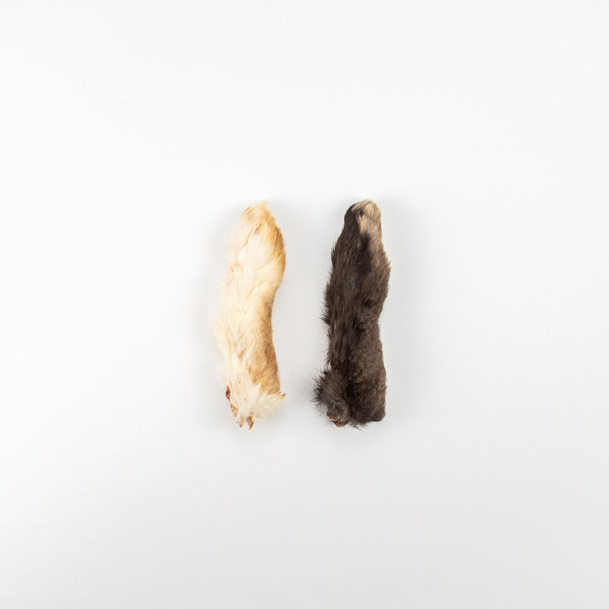Mini Rabbit Feet – Natural Bone & Fur Dog Treats
