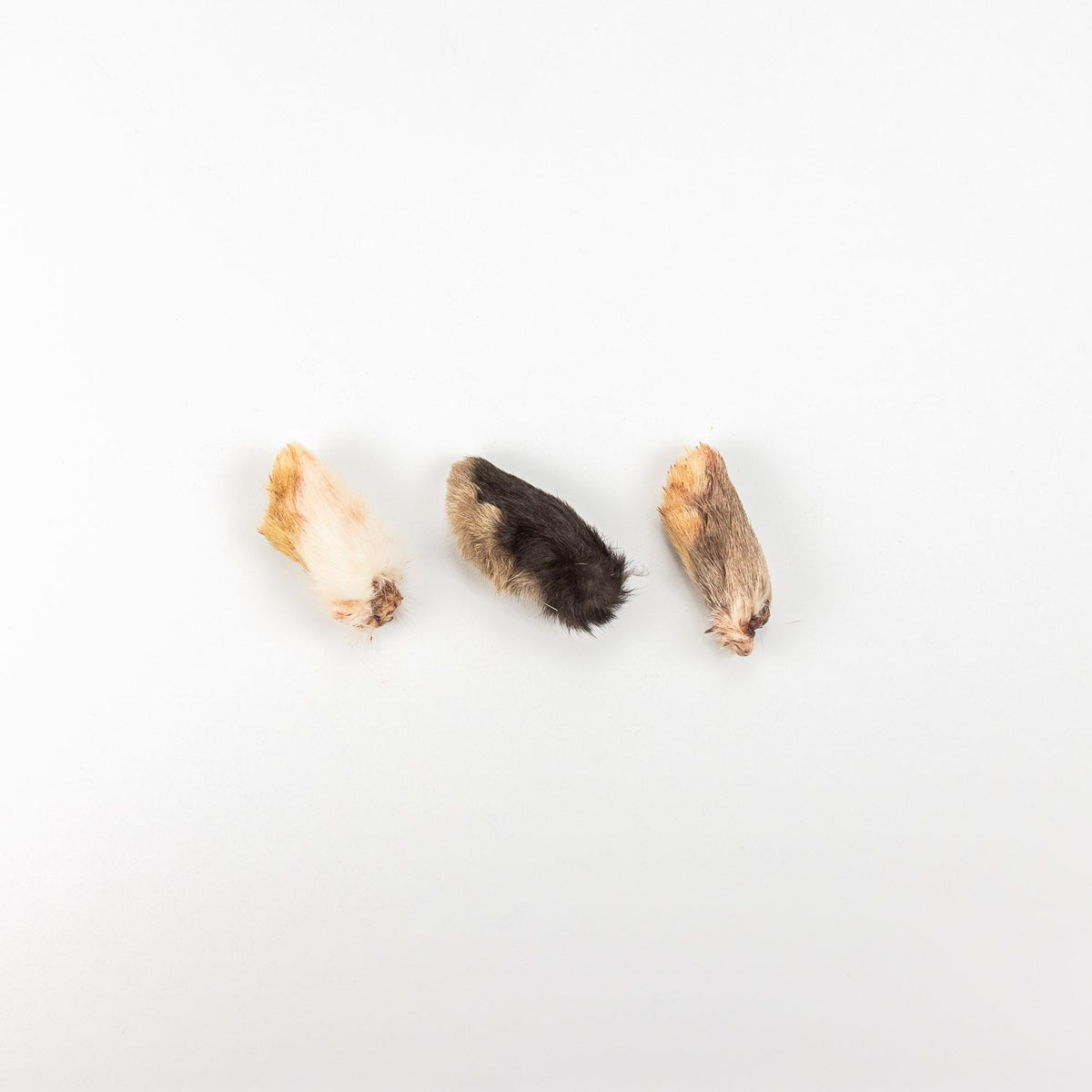 Rabbit Paws – Natural Fur-On Chews for Dogs