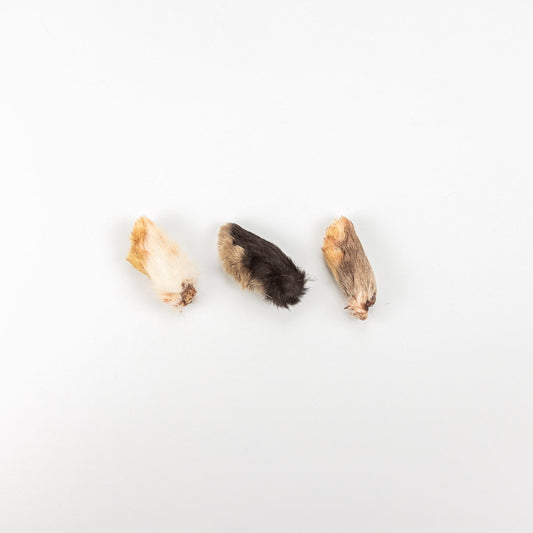 Rabbit Paws – Natural Fur-On Chews for Dogs
