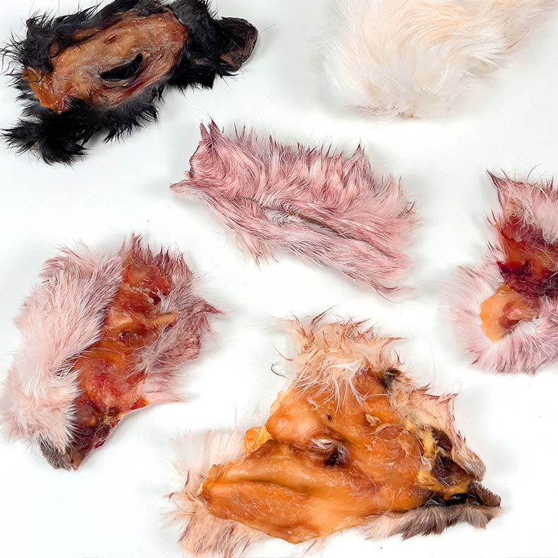 Rabbit Chips – Skin & Coat Chews for Dogs & Cats