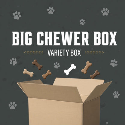 Big Chewer Box | 15% off